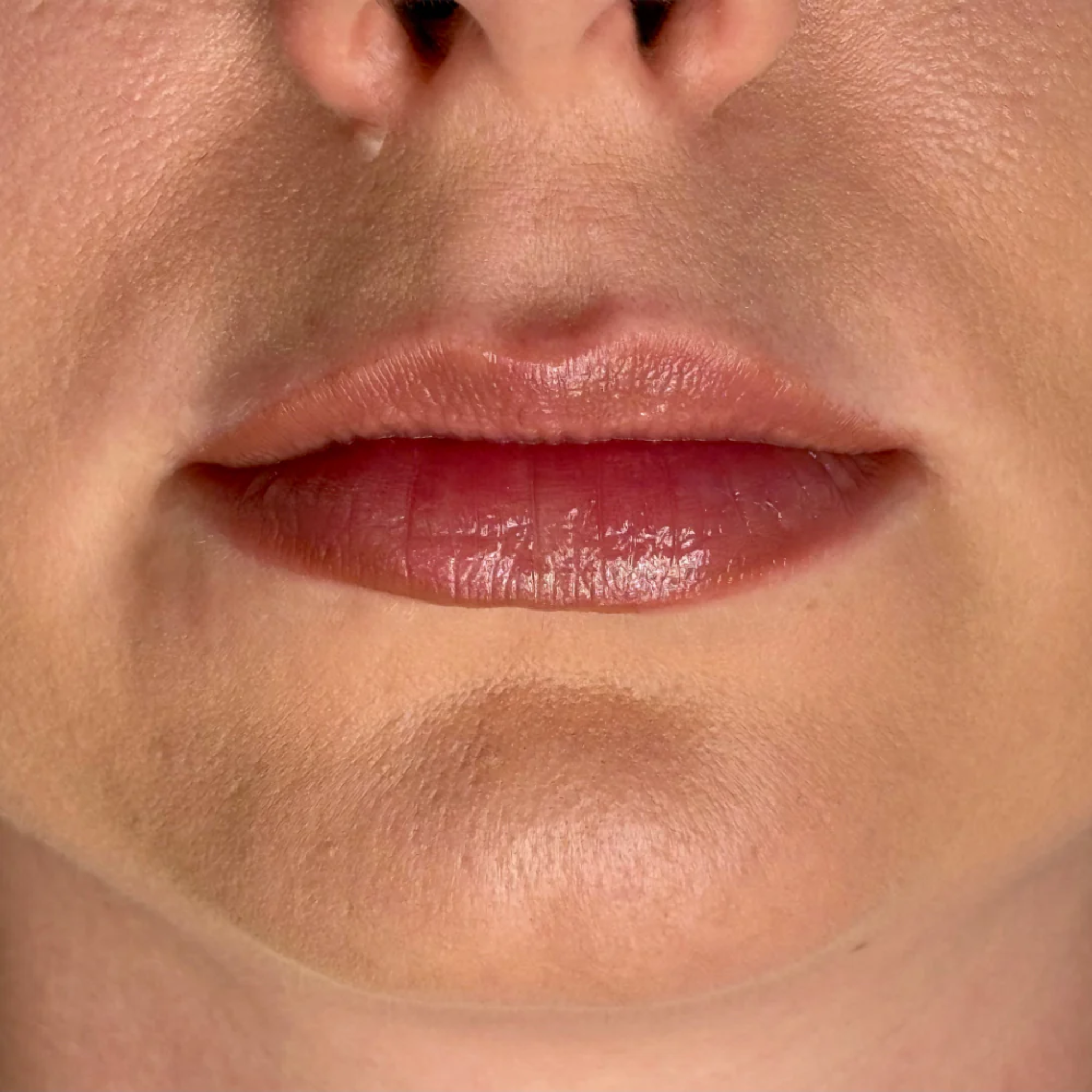 Lip Liner Confident Nude