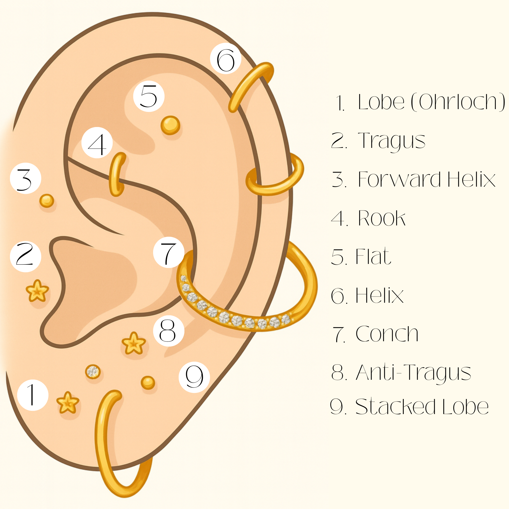 Dein Piercing Termin