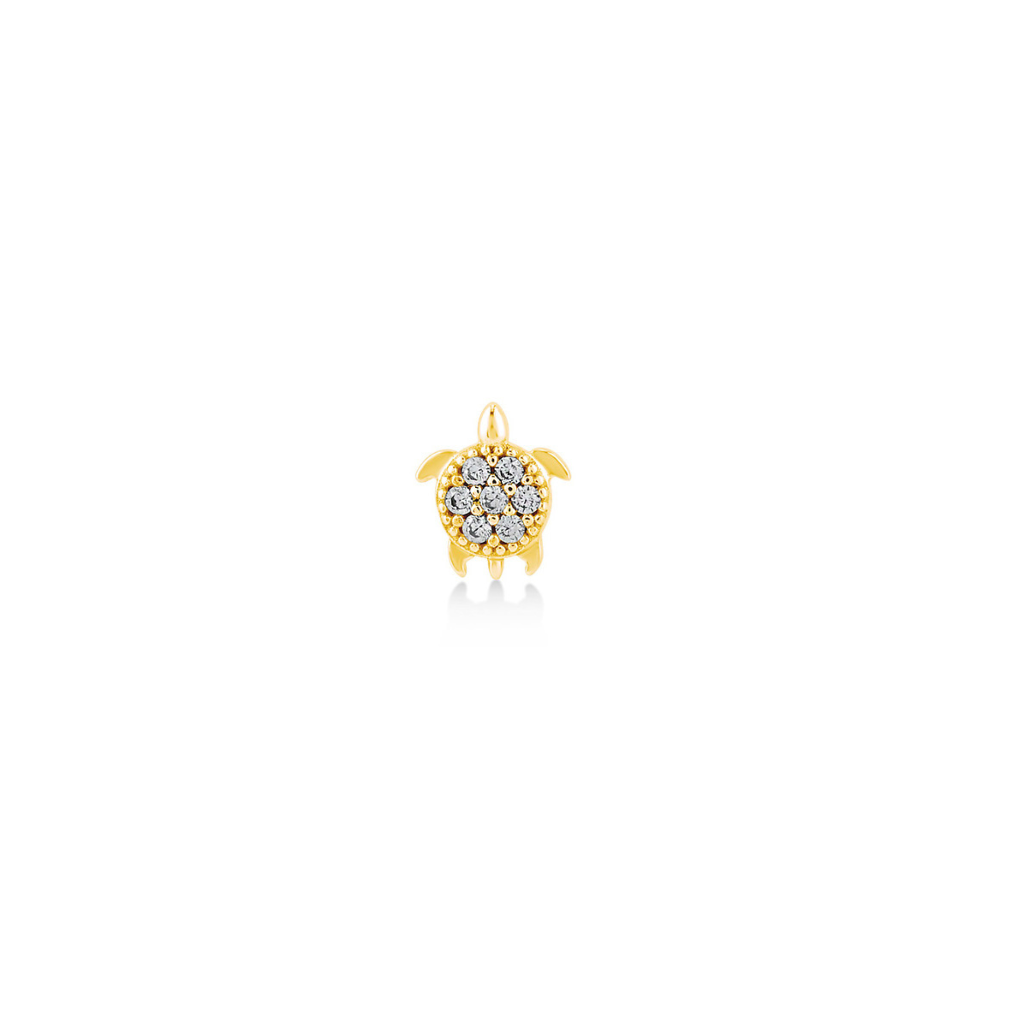 Glint Turtle Piercing