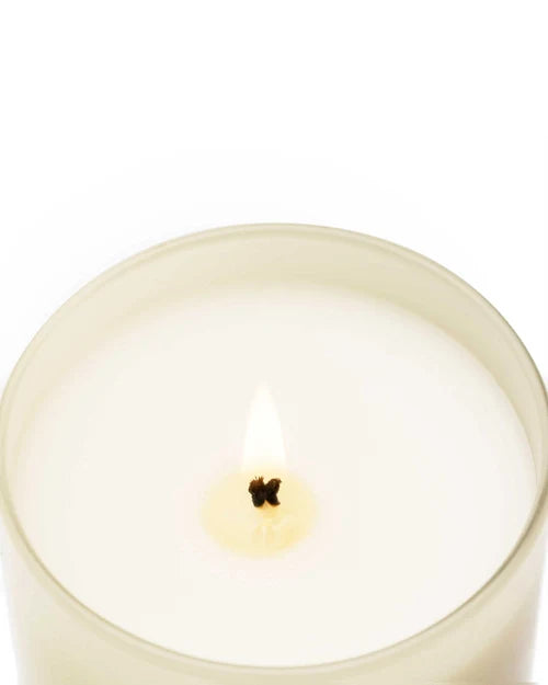 Raspberry & Black Vanilla 230g Candle
