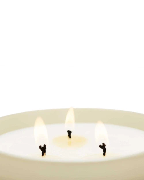 Velvet Wood Candle