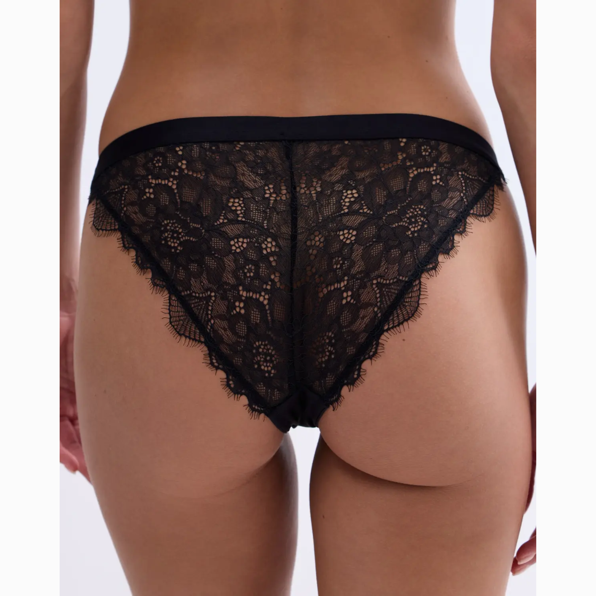 Wild Rose Slip