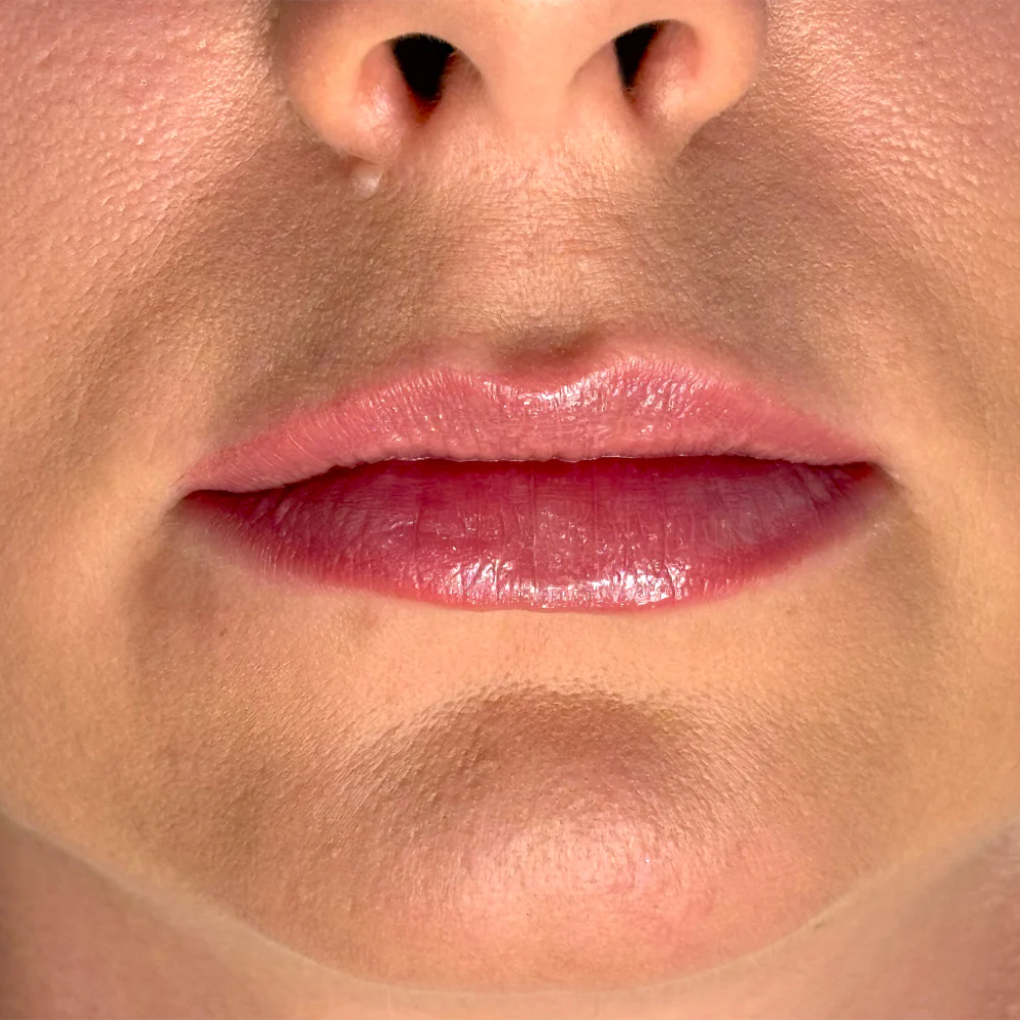 Lip Liner Soulfood Nude