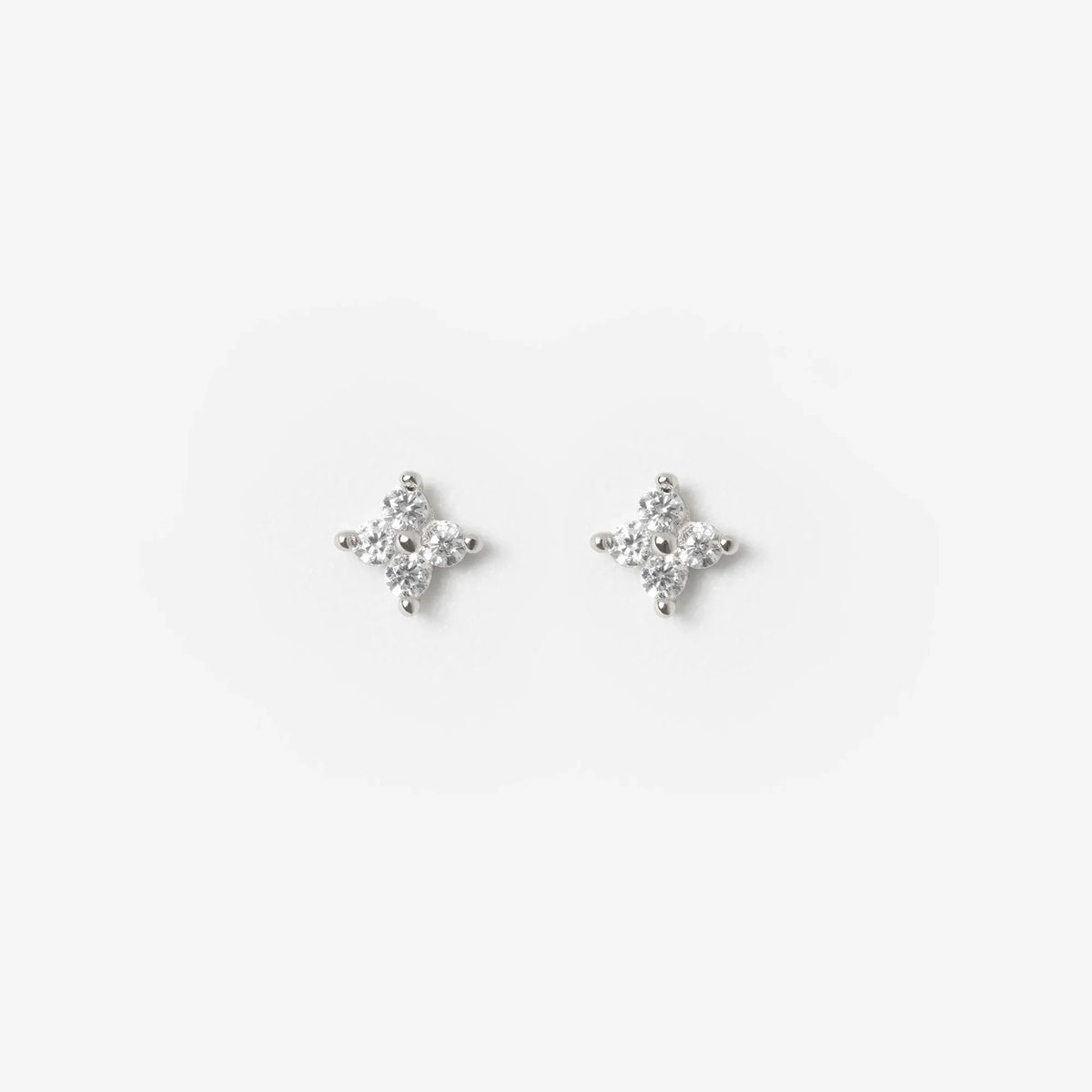 Blossom Lover Stud