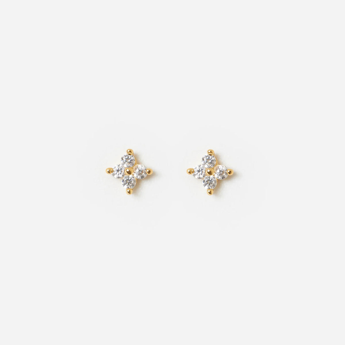 Blossom Lover Stud
