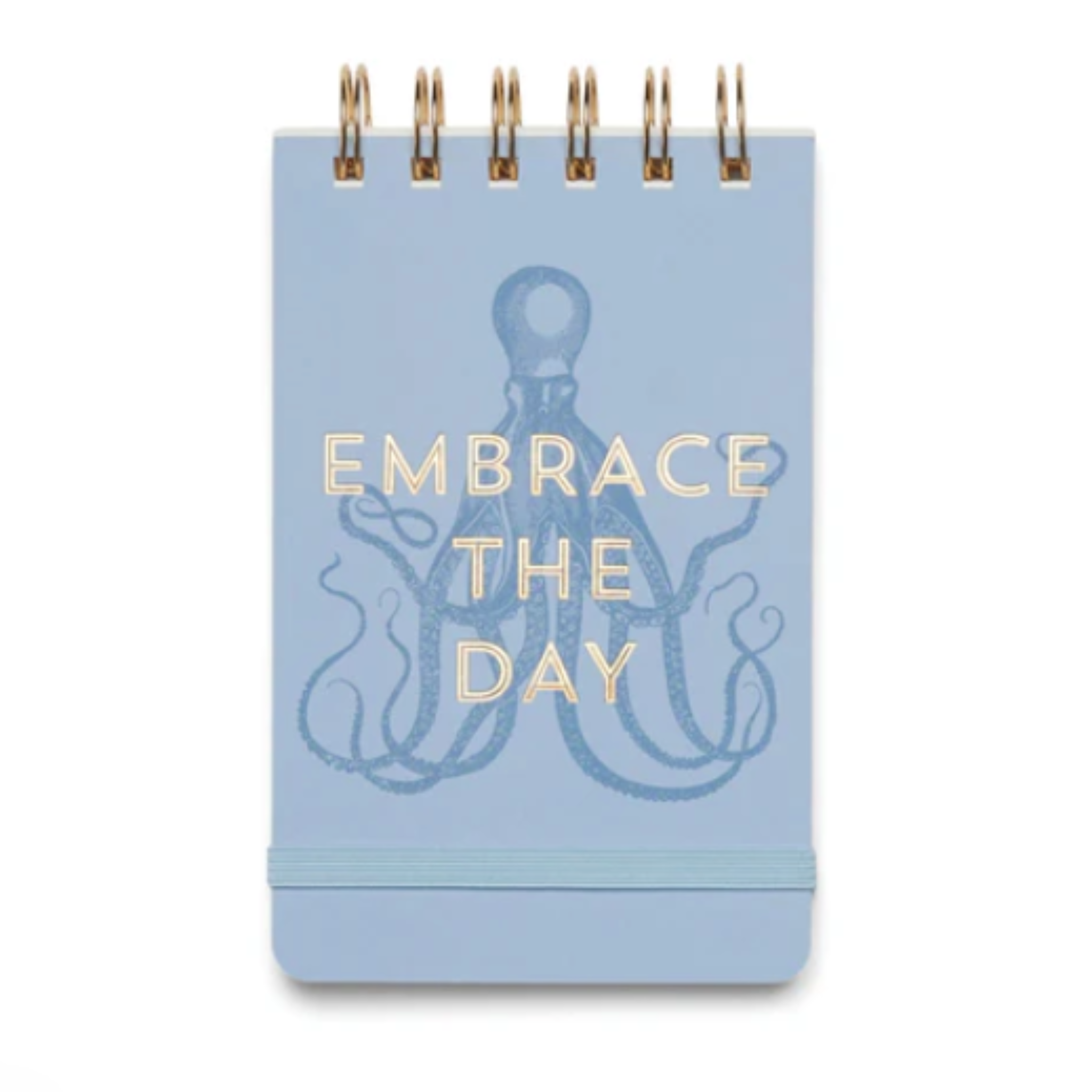 Vintage Sass Drahtspiralen Notizblock "Embrace the day"