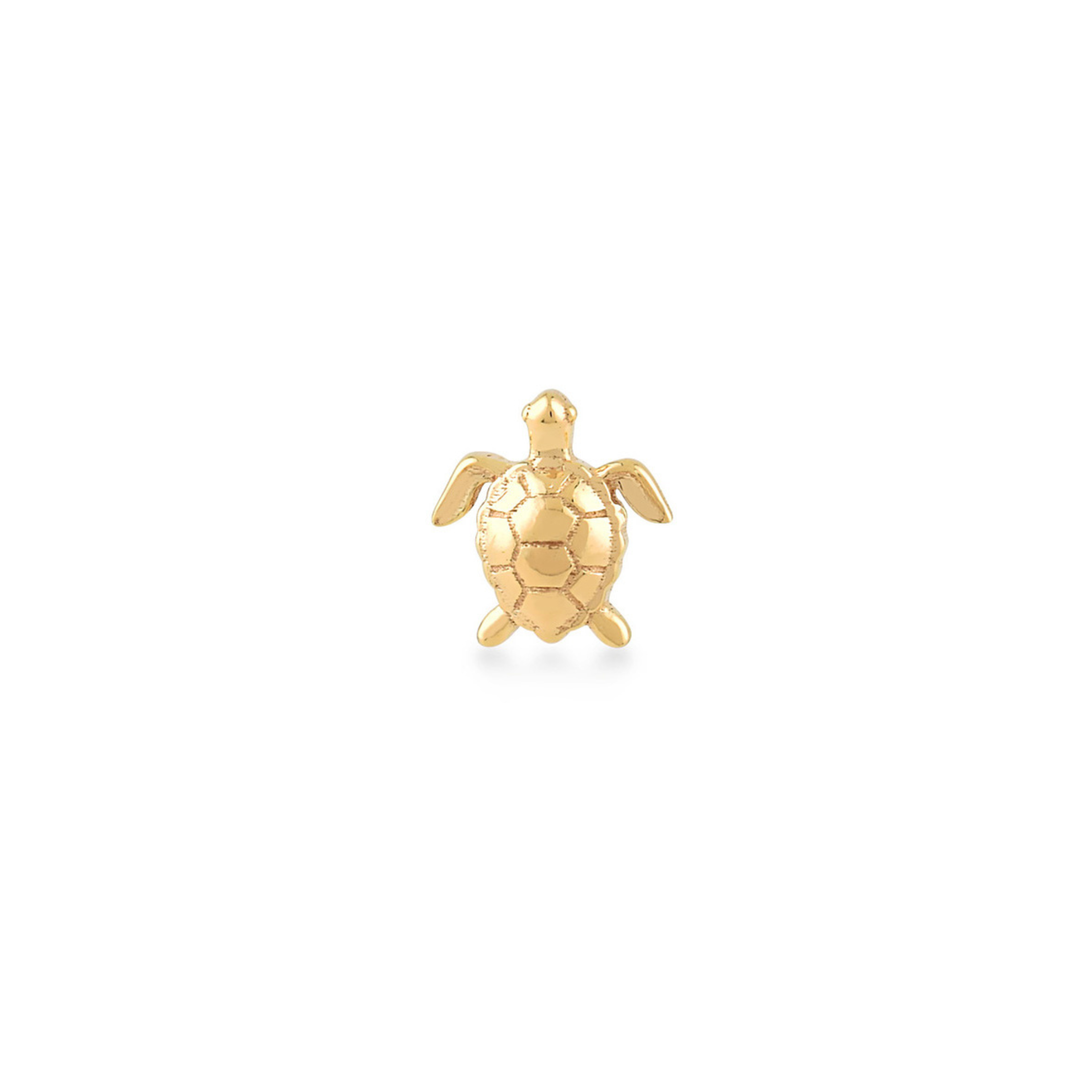 Caretta Turtle Piercing