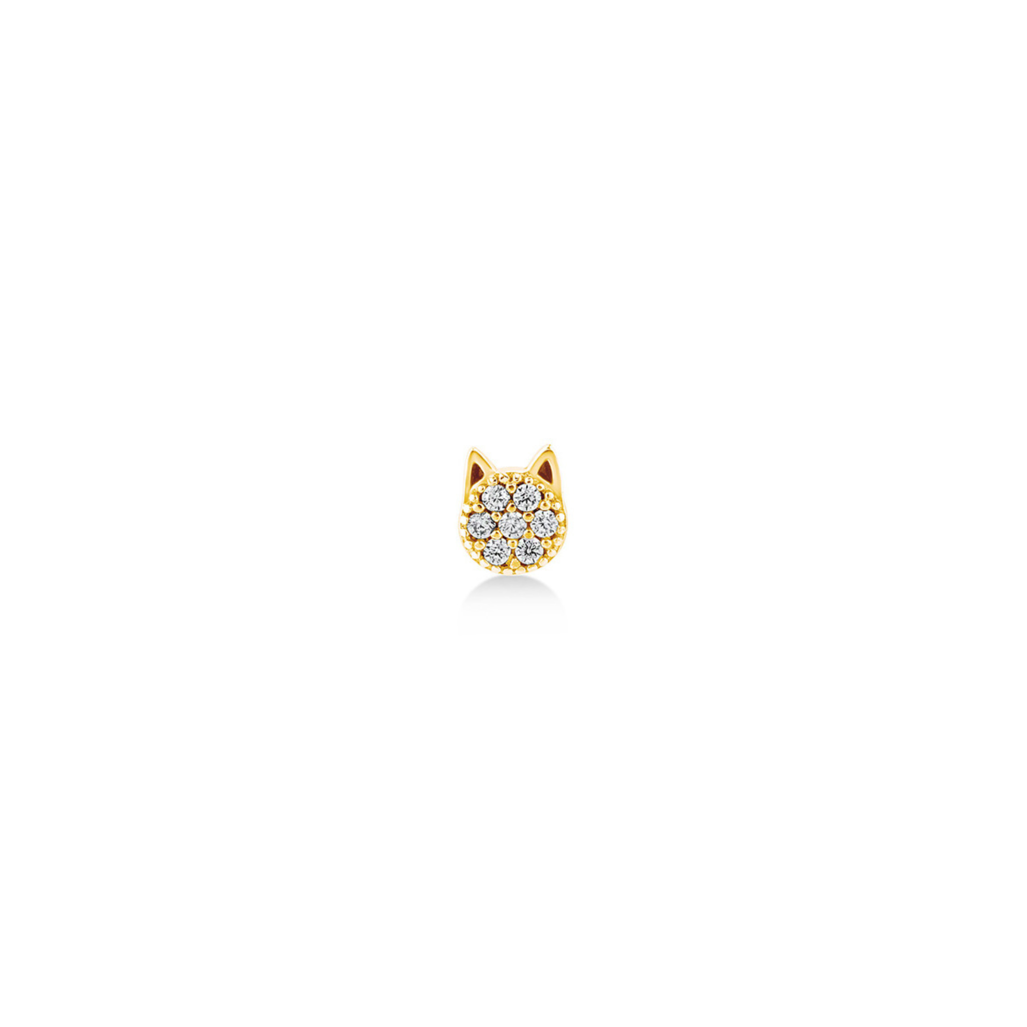 Cat Piercing