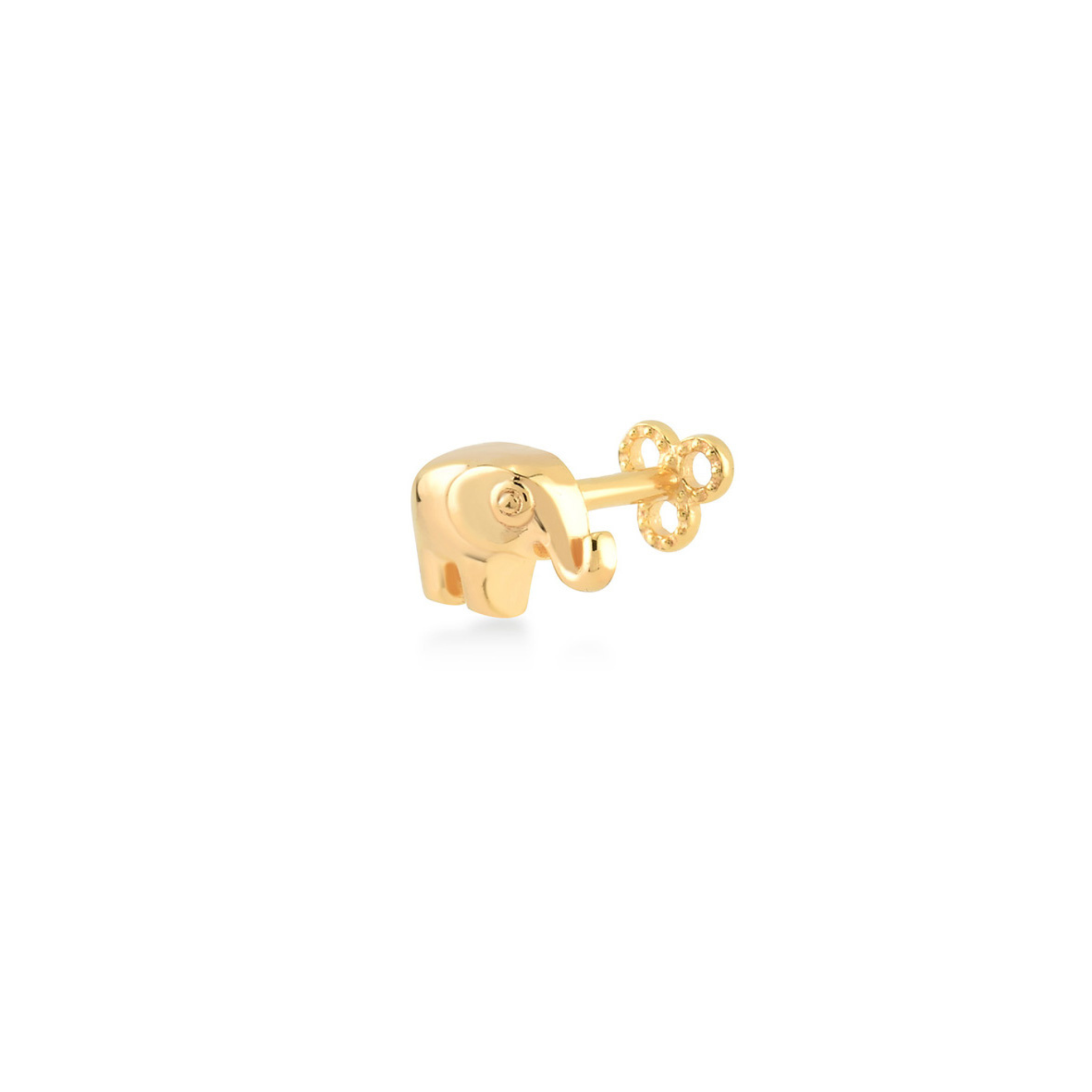 Elephant Piercing