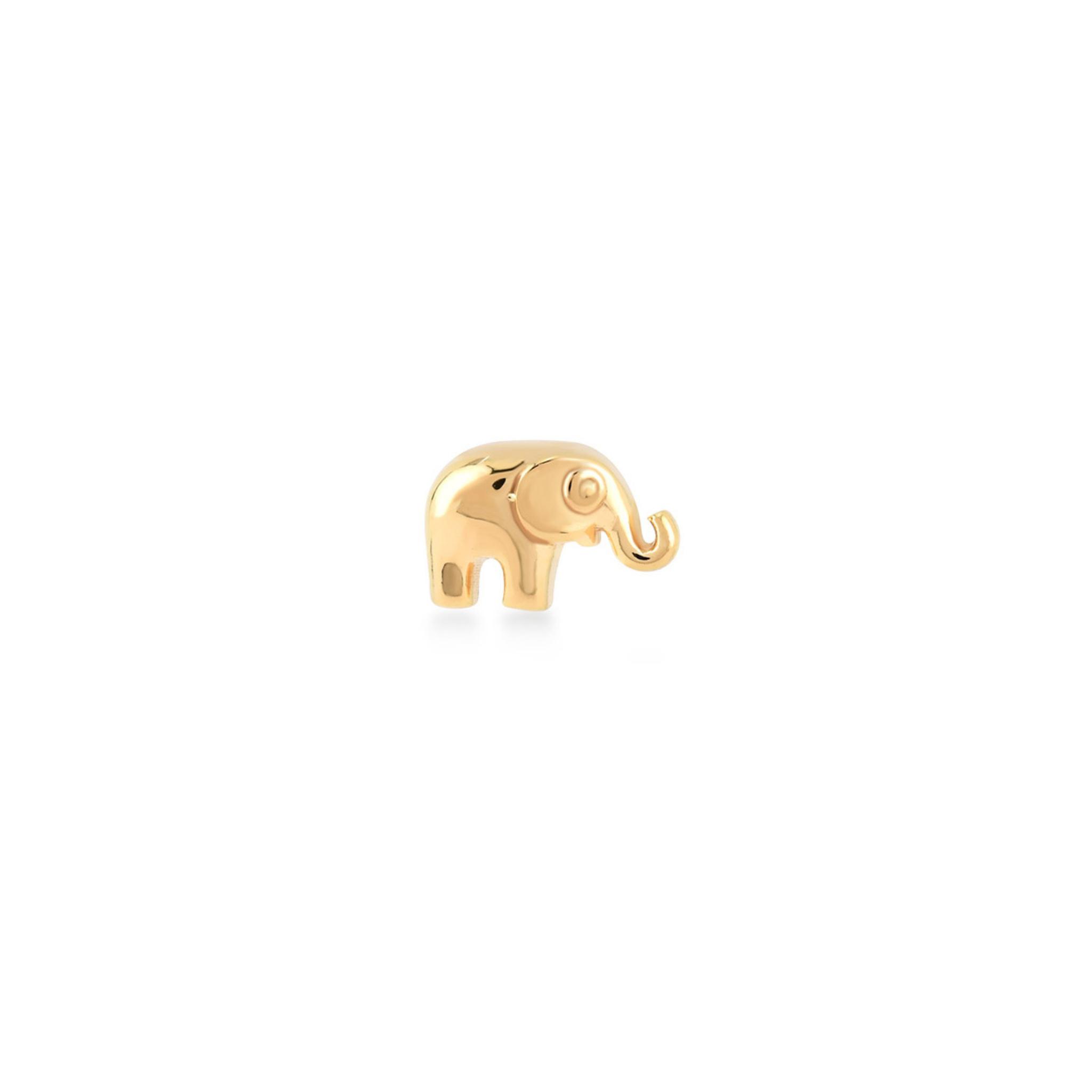 Elephant Piercing