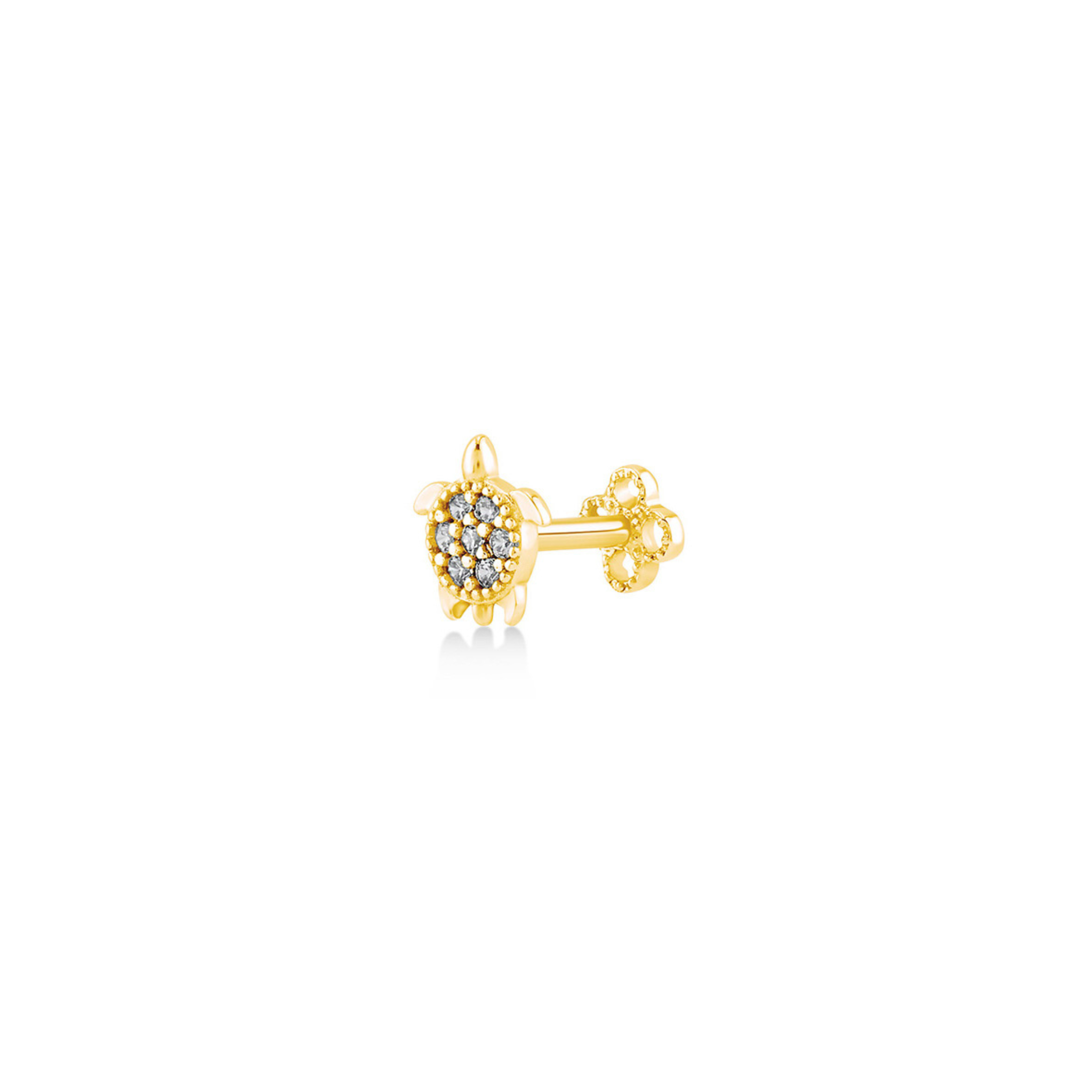 Glint Turtle Piercing