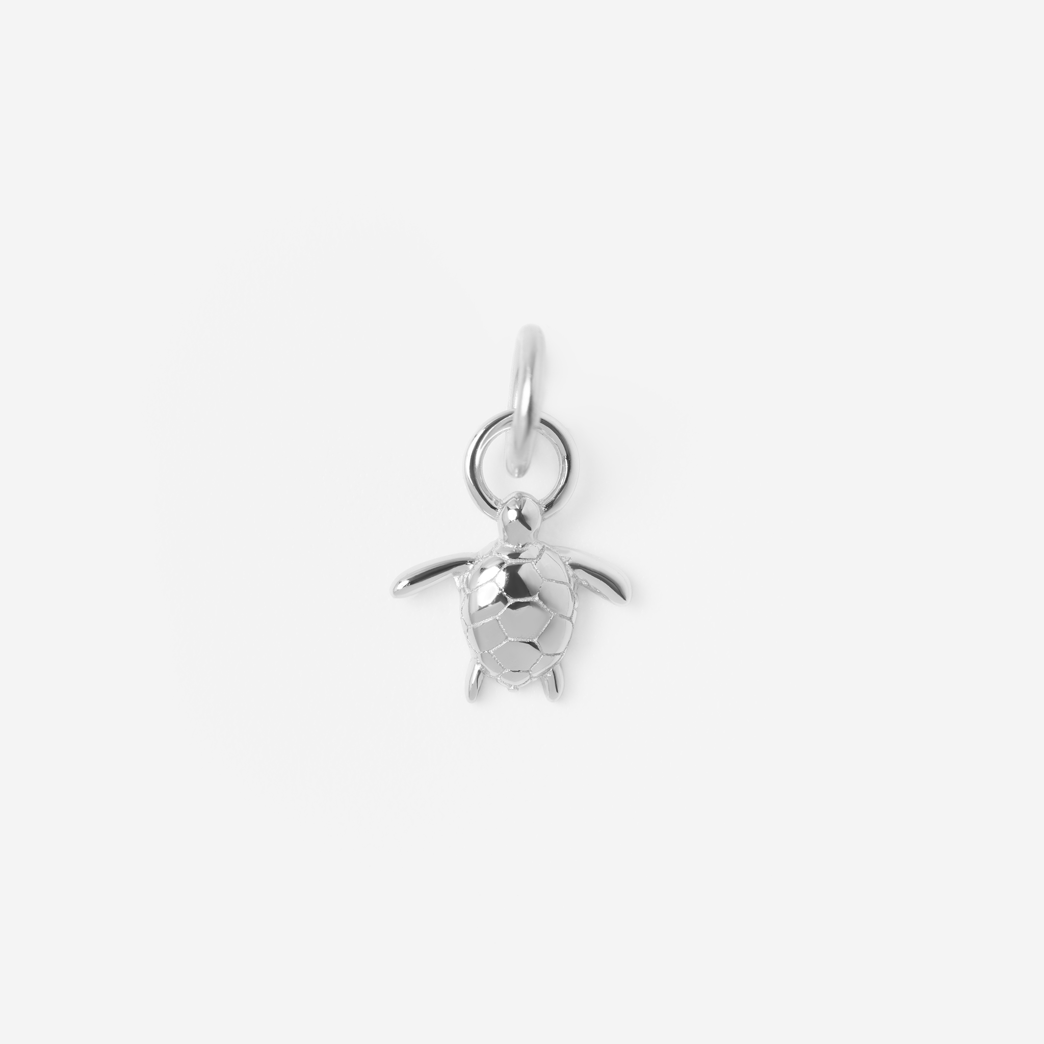 Chelonia Charm